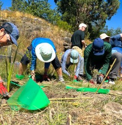 guests planting trees in Arrowtown MP19JAN26