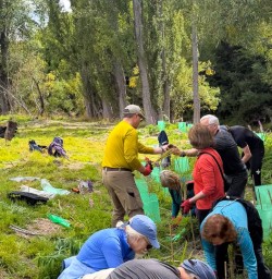 guests planting trees in Arrowtown MP23FEB26