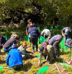 guests planting trees in Arrowtown SP23FEB26