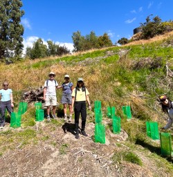 guests planting trees in arrowtown PS09FEB26