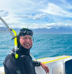 guests swim with dolphins in Kaikoura KC24NOV25