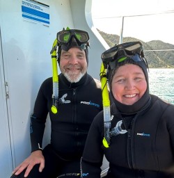 guests swim with dolphins in kaikoura GE23FEB26