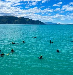 guests swimming with dolphins in Kaikoura KC16FEb26