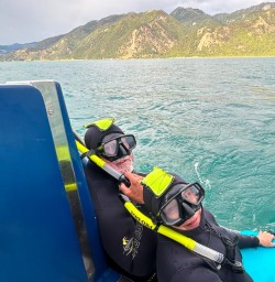 guests swimming with dolphins in Kaikoura MP22DEC25