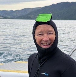 guests swimming with dolphins in Kaikoura MP24NOV25