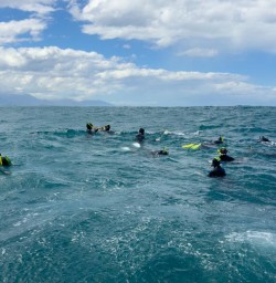 guests swimming with dolphins in kaikoura GE10NOV25