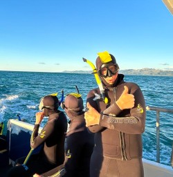 guests swimming with dolphins in kaikoura MP16FEB26