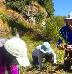 guests tree planting Arrowtown GE02FEB26
