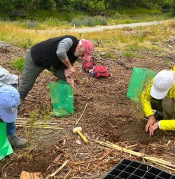 guests tree planting Arrrowtown KC22DEC25