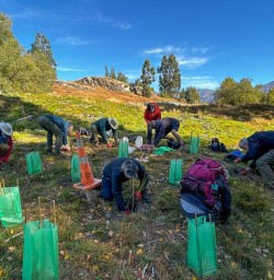 guests tree planting in Arrowtown GE30MAR26