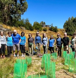 guests tree planting in Arrowtown MP19JAN26