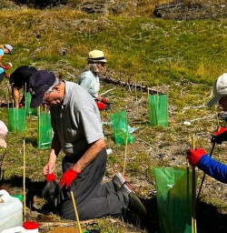 guests tree planting in Arrowtown PS16AMR27