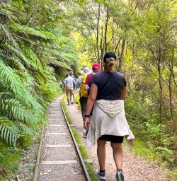 guests walk Krangahake Window Walk SN24FEB26