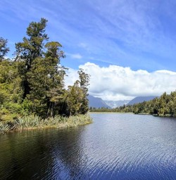 guests walking Lake Matheson RM17NOV25