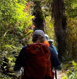 guests walking in Ulva Island GW17NOV25