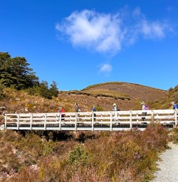 guided hike in Tongariro National Park SN03AMr26