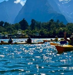 guided kayak tour in Milford Sound PS23MAR26
