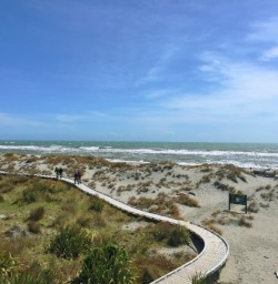 Walking Track at Ship Creek