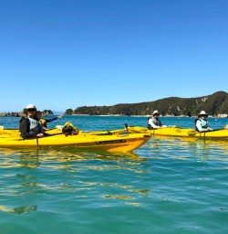 happy guests explore Queen Charlotte Sound on kayak MP09MAR26
