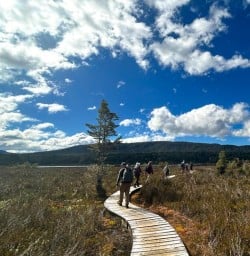 happy guests hike kepler track GE30MAR26