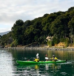 happy guests kayak in Queen Charlotte Sound RM23MAR26