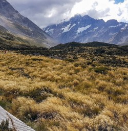 hiking aoraki mount cook canterbury