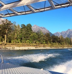 hollyford river jetboat
