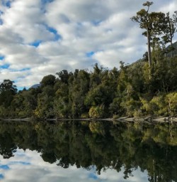 Hollyford River, Fiordland National Park Southland New Zealand