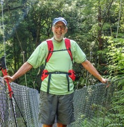 Hollyford Track Bridge, Fiordland National Park, Southland New Zealand