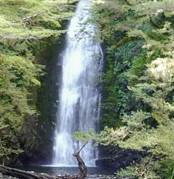 Hollyford Track Falls, Fiordland National Park, Southland New Zealand
