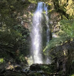 Hollyford Track Falls, Fiordland National Park Southland New Zealand