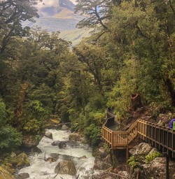 Hollyford Track river, Fiordland National Park Southland New Zealand
