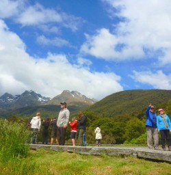 view of the hollyford valley