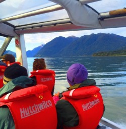 Views of Lake McKerrow from the Jetboat