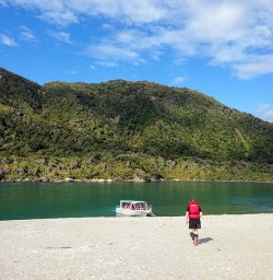 jetboat on the hollyford river
