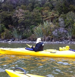 kayakers on okarito lagoon