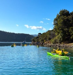 kayak tour in Queen Charlotte Sound RM23FEB26