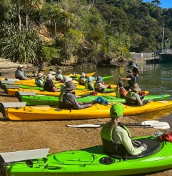 kayaking Queen Charlotte Sound MP03NOV26