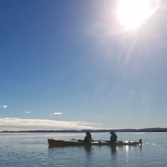 Kayaking Okarito Lagoon