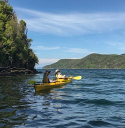Kayaking at Marlborough Sounds, New Zealand