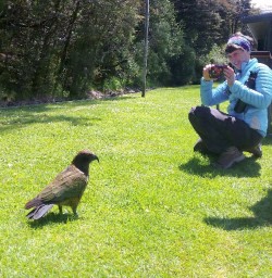 kea and hiker