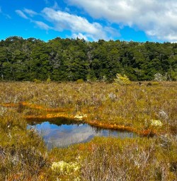 kepler track GE30MAr26