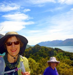 lake wanaka views