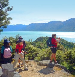 lake wanaka lookout