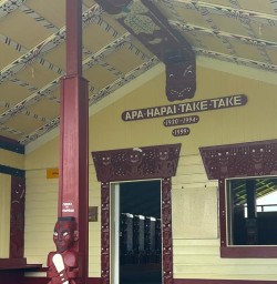 marae Kohutapu Lodge SN18NOV25