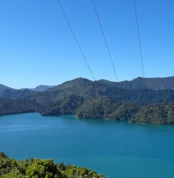marlborough sounds queen charlotte MP24NVO25