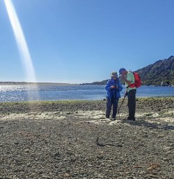 Martins Bay, Jetboat on Lake Mckerrow, Fiordland National Park, Southland New Zealand