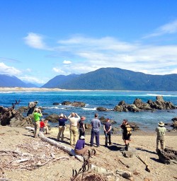 hikers at martins bay new zealand