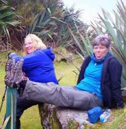 martins bay hikers 