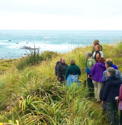 martins bay hiking